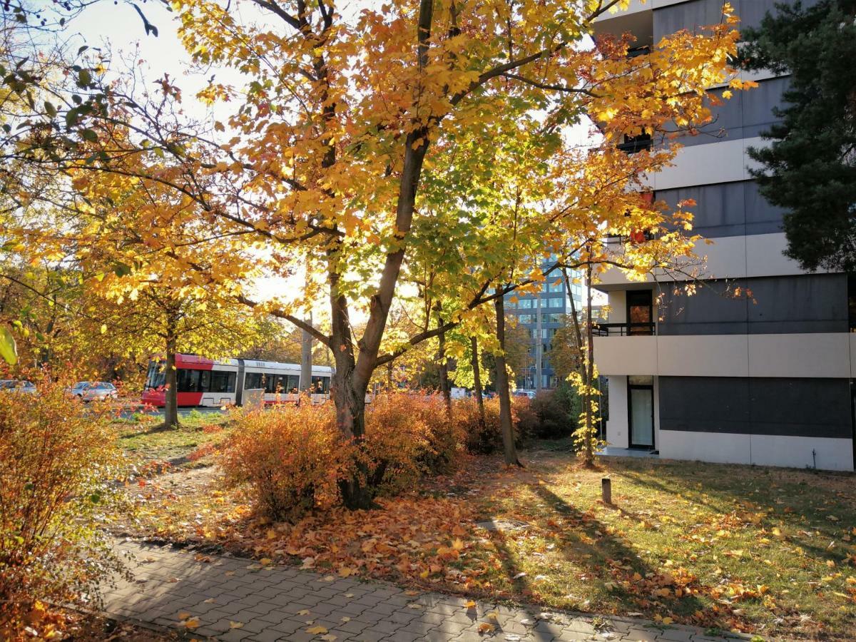 Central-Apt At Lake, Citycenter 5Min, Fair 18Min!!! Nuremberga Exterior foto
